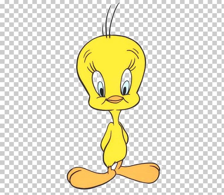 Tweety Sylvester Granny Drawing Looney Tunes PNG, Clipart, Art, Beak, Bird, Birdy And The Beast, Bob Clampett Free PNG Download