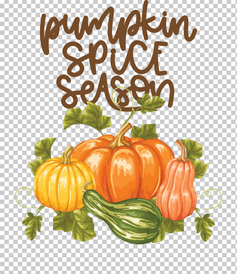 Autumn Pumpkin Spice Season Pumpkin PNG, Clipart, Autumn, Cooking, Drawing, Pumpkin, Royaltyfree Free PNG Download
