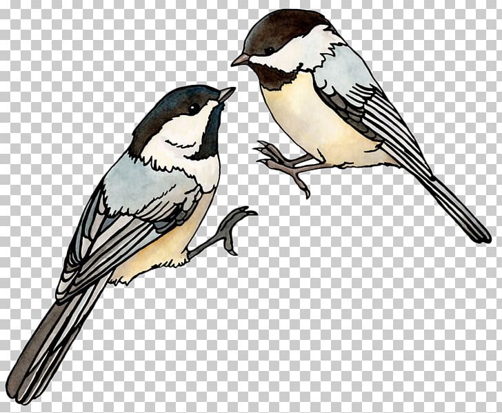 House Sparrow Bird Watercolor Painting Illustration PNG, Clipart, Animals, Art, Beak, Birds, Branch Free PNG Download