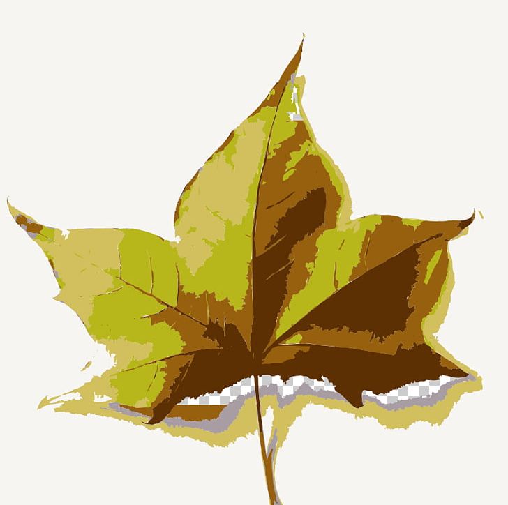 Leaf Maple Leaf Flower PNG, Clipart, Download, Flower, Leaf, Maple Leaf, Microsoft Powerpoint Free PNG Download