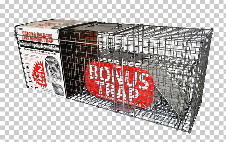 Raccoon Trapping Feral Cat Cage PNG, Clipart, Animals, Cage, Cat, Coyote, Dog Free PNG Download