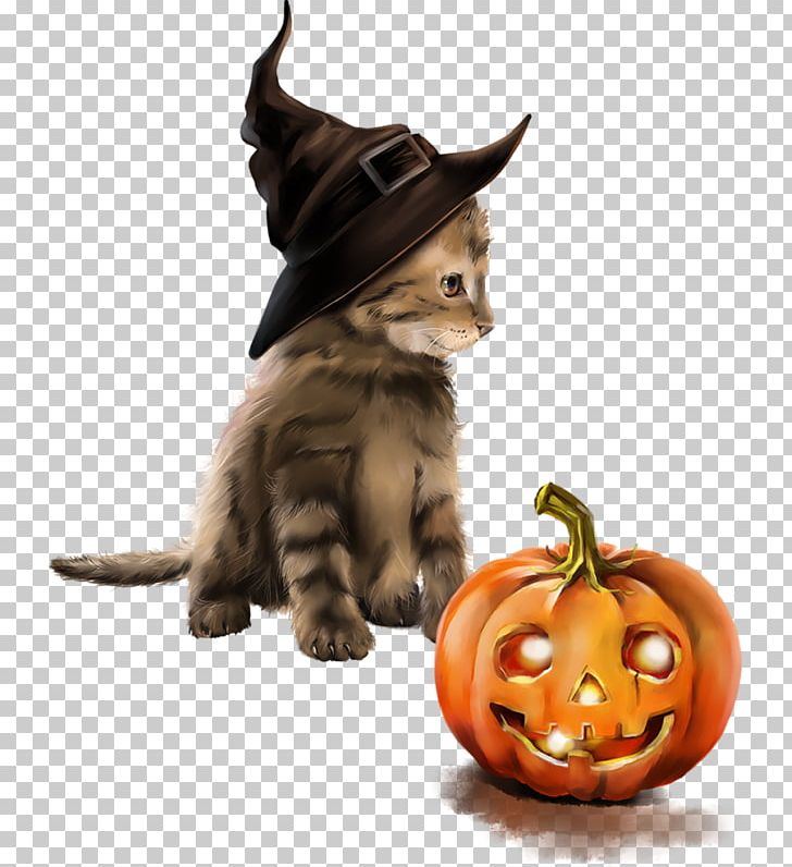 Cat Whiskers Witch PNG, Clipart, Animals, Art, Carnivoran, Cat, Cat Like Mammal Free PNG Download