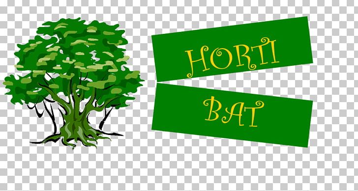 The Holly Tree Organization Bodhi Tree Family Buddhism PNG, Clipart, Bodhi Tree, Brand, Buddhism, Communication, Environment Free PNG Download