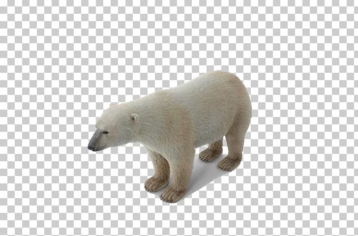 Baby Polar Bear Polar Regions Of Earth PNG, Clipart, 3d Computer Graphics, Animal, Animals, Baby Bear, Baby Polar Bear Free PNG Download