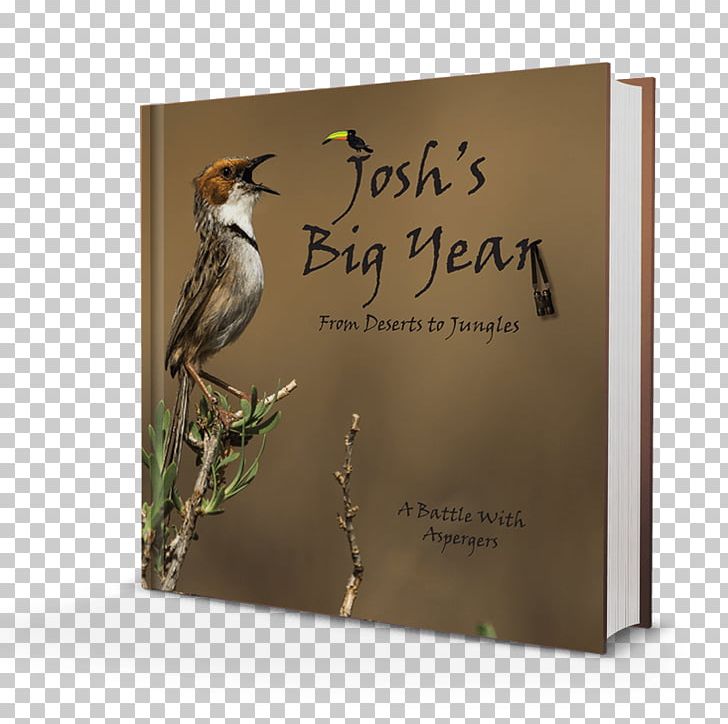 Birdwatching Big Year Book South Africa PNG, Clipart, Advertising, Africa, Animals, Author, Big Year Free PNG Download