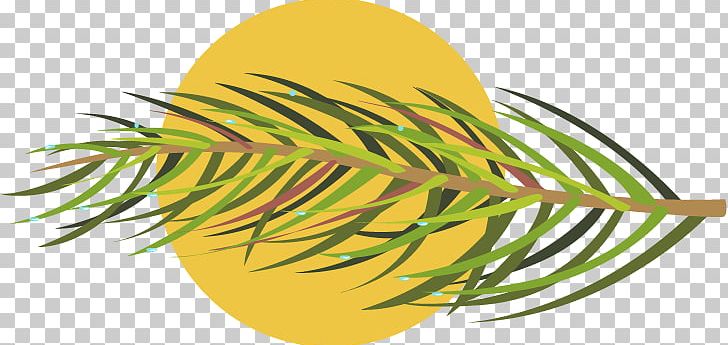 Grasses Leaf Plant Stem PNG, Clipart, Commodity, Family, Food, Fruit, Grass Free PNG Download