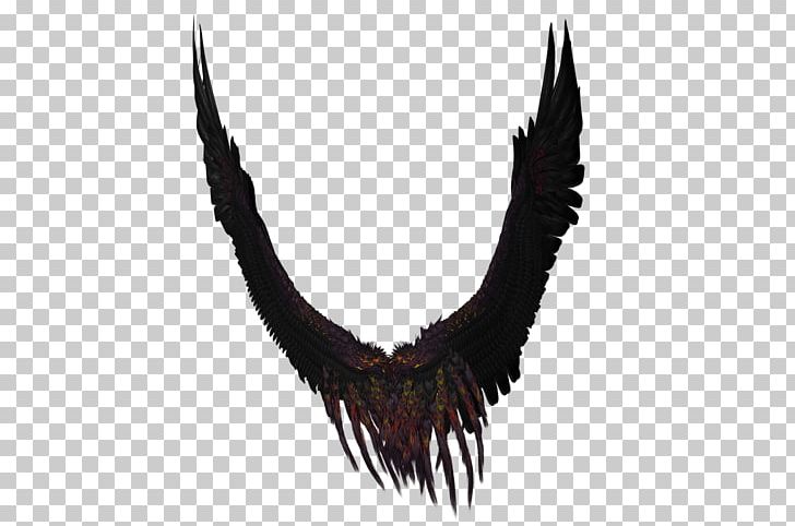 Long Black And Purple Wings PNG, Clipart, Comics And Fantasy, Wings Free PNG Download