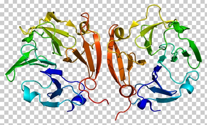 MMP9 Matrix Metalloproteinase Extracellular Matrix Enzyme PNG, Clipart, Area, Art, Collagenase, Connective Tissue, Enzyme Free PNG Download