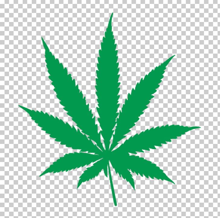 Cannabis Ruderalis Graphics Cannabis Sativa PNG, Clipart, Cannabis, Cannabis Cultivation, Cannabis Ruderalis, Cannabis Sativa, Drawing Free PNG Download