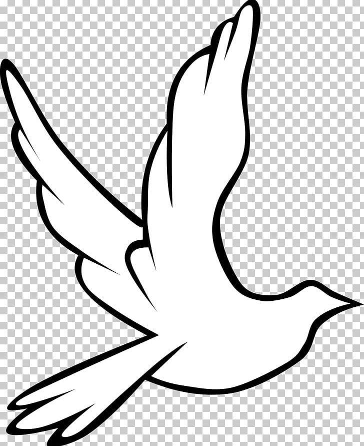 Columbidae Doves As Symbols Holy Spirit In Christianity PNG, Clipart, Area, Art, Artwork, Beak, Bird Free PNG Download