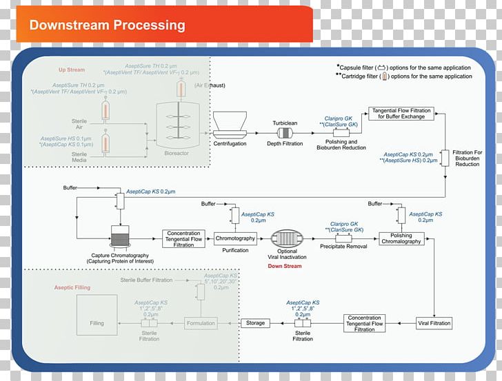 Downstream Processing Diagram Petroleum Industry PNG, Clipart, Angle, Area, Biopharmaceutical, Biotechnology, Diagram Free PNG Download