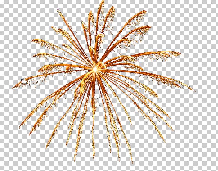 Fireworks Firecracker PNG, Clipart, Art, Bleed, Branch, Designer, Download Free PNG Download