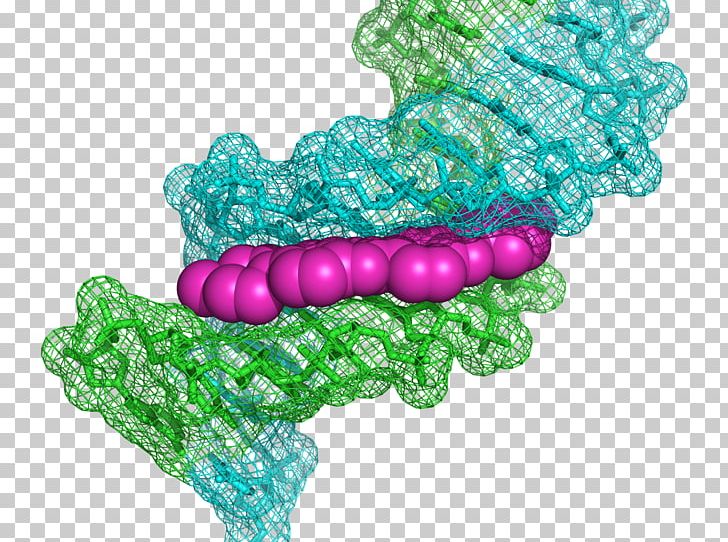 Hoechst AG Hoechst Stain DNA Staining Bisbenzimide PNG, Clipart, Bacteria, Bead, Bisbenzimide, Chemical Compound, Chemical Substance Free PNG Download