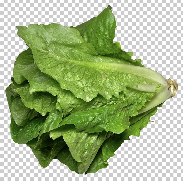 Romaine Lettuce Celtuce Lettuce Sandwich Lettuce Soup PNG, Clipart, Broccoli, Cabbage, Celtuce, Choy Sum, Collard Greens Free PNG Download