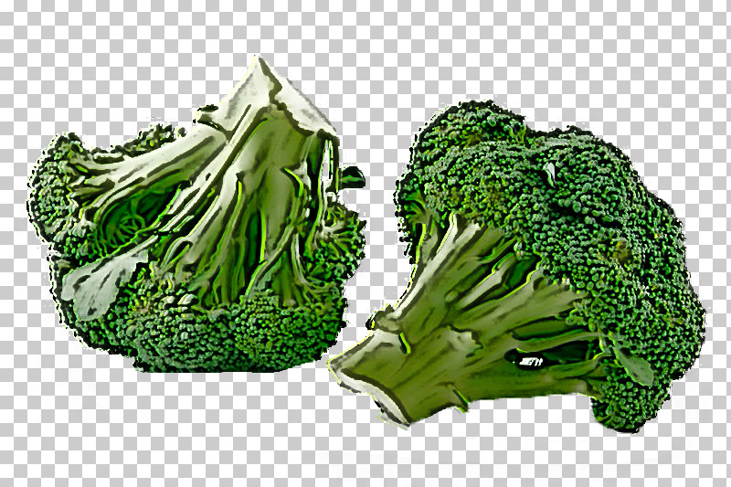 Leaf Vegetable Broccoli Vegetable Wild Cabbage Plant PNG, Clipart, Broccoli, Cabbage, Food, Grass, Leaf Vegetable Free PNG Download
