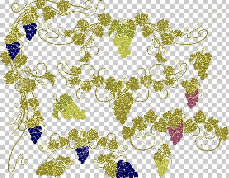 Common Grape Vine PNG, Clipart, Art, Border, Branch, Circle, Drawing Free PNG Download