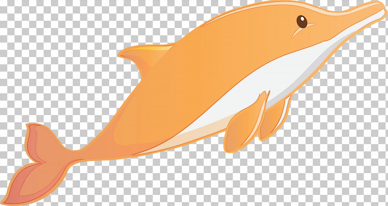 Orange PNG, Clipart, Animal Figure, Cetacea, Dolphin, Fin, Fish Free PNG Download