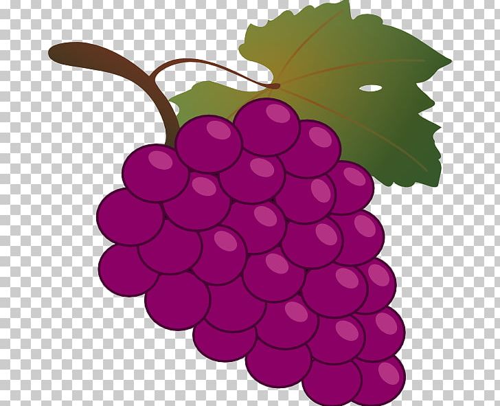 Common Grape Vine Wine Free Content PNG, Clipart, Cartoon, Cartoon Grapes Cliparts, Common Grape Vine, Flowering Plant, Food Free PNG Download