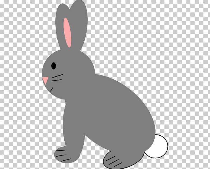 Domestic Rabbit Hare White Rabbit PNG, Clipart, Computer Icons, Domestic Rabbit, Drawing, Fauna, Gray Rabbit Free PNG Download