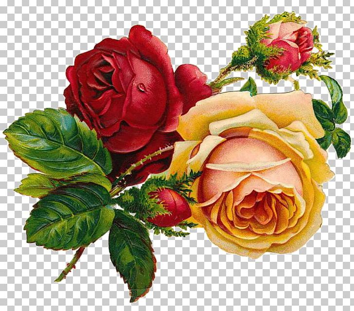 Drawing Rose Flower Art Sketch PNG, Clipart, Art Museum, Artwork, Colored Pencil, Cut Flowers, Drawing Free PNG Download