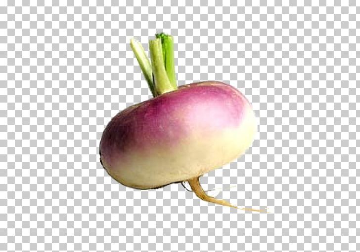 Turnip Root Vegetables Rutabaga Eating PNG, Clipart, Beet, Cabbage, Carrot, Diet Food, Eating Free PNG Download