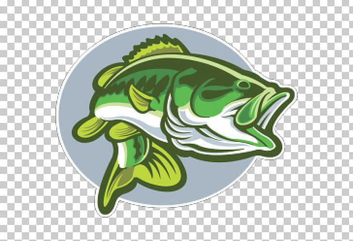 Largemouth Bass Bass Fishing PNG, Clipart, Amphibian, Bass, Bass Fish, Bass Fishing, Dragon Fish Free PNG Download