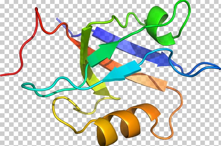 Product Design Organism Line PNG, Clipart, Area, Artwork, Line, Organism, Special Olympics Area M Free PNG Download