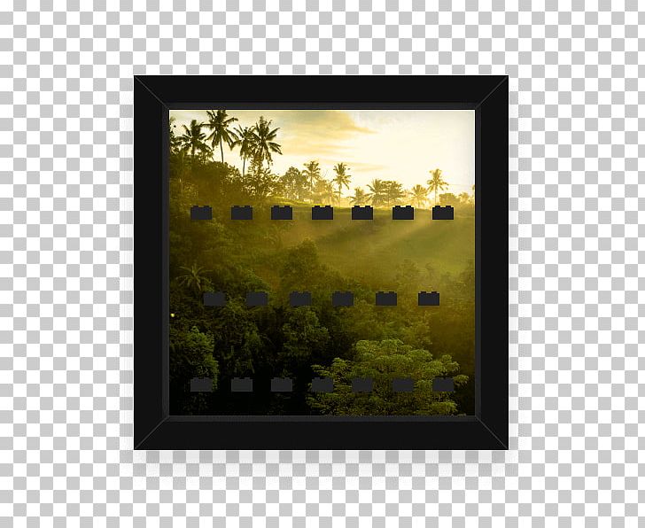 Rectangle Frames Stock Photography Square PNG, Clipart, Flower, Landscape, Meter, Movies, Nature Free PNG Download