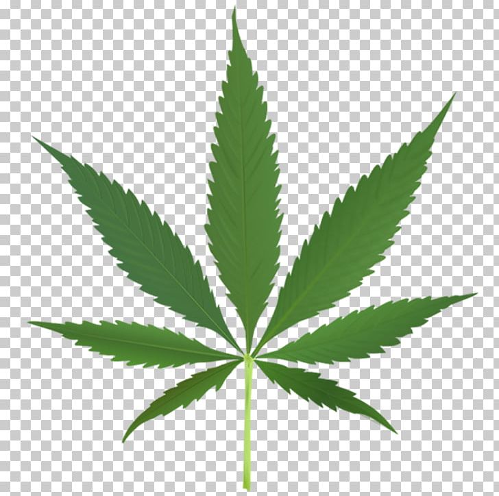 Cannabis Sativa Marijuana Medical Cannabis Leaf PNG, Clipart, Bong, Cannabidiol, Cannabinoid, Cannabinol, Cannabis Free PNG Download