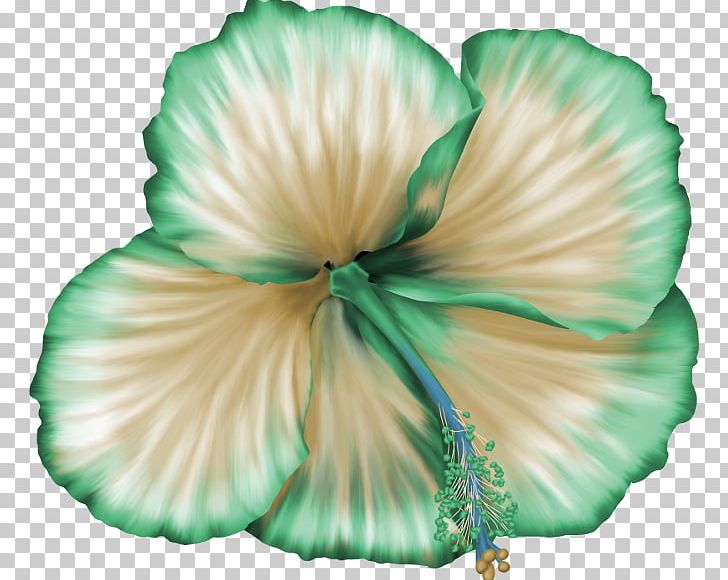 Flower Floral Design Rosemallows Petal PNG, Clipart, Blossom, Deco, Fleur, Floral Design, Flower Free PNG Download