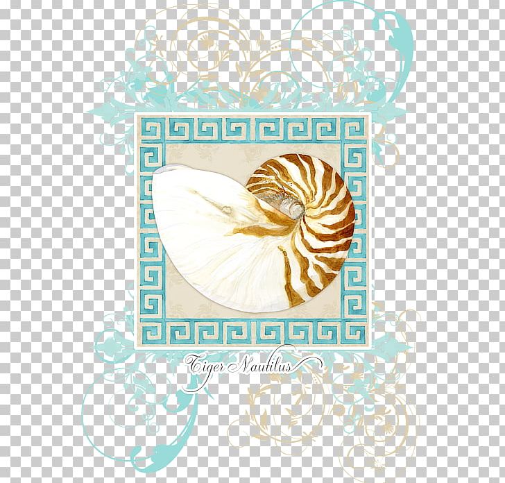 Seashell Nautilidae Light Curtain PNG, Clipart, Ammonites, Animals, Bathroom, Beach, Coast Free PNG Download
