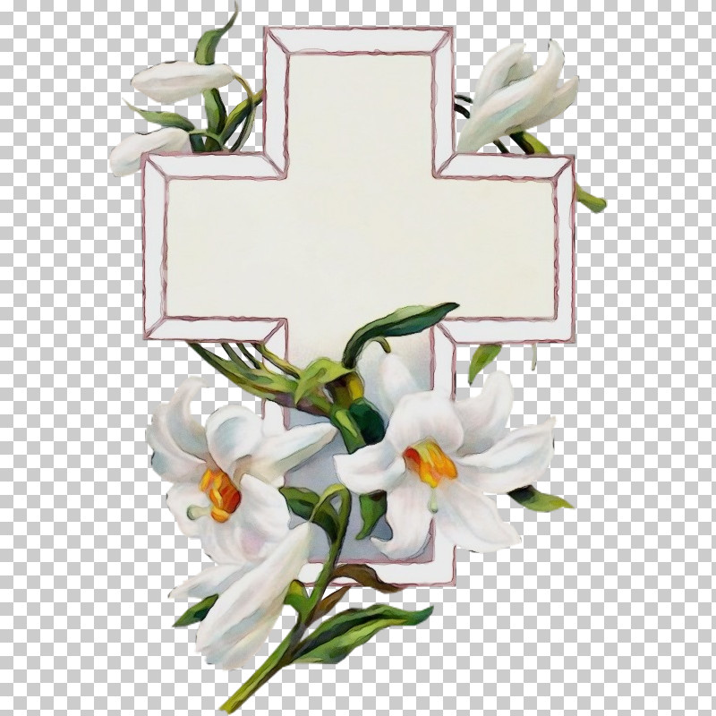 White Flower Lily Plant Cut Flowers PNG, Clipart, Cattleya, Cut Flowers, Dendrobium, Flower, Lily Free PNG Download