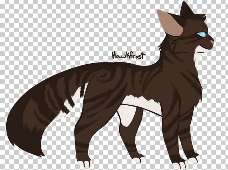 Cat Whiskers Warriors Hawkfrost Erin Hunter PNG, Clipart, Animals, Ashfur, Book, Carnivoran, Cat Free PNG Download