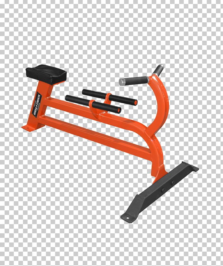 Exercise Machine Bent-over Row Bench Strength Training PNG, Clipart,  Free PNG Download
