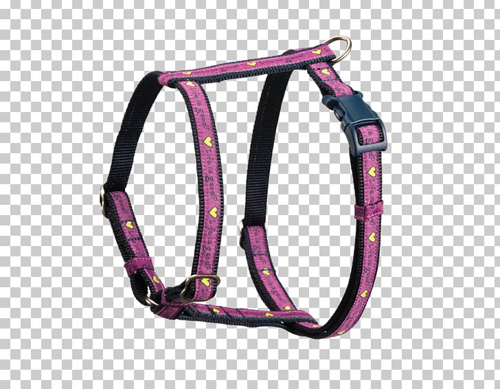 Dog Harness Horse Harnesses Dogs Are Not Our Whole Life PNG, Clipart, Bowl, Buff, Cat, Ceramic, Clothing Accessories Free PNG Download