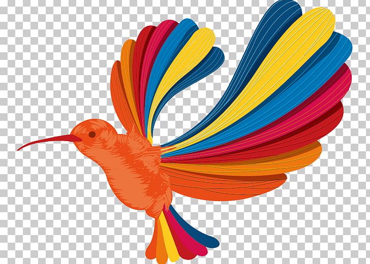 Hummingbird Euclidean Rainbow Color PNG, Clipart, Animal, Animals, Bird, Bird Cage, Bird Vector Free PNG Download