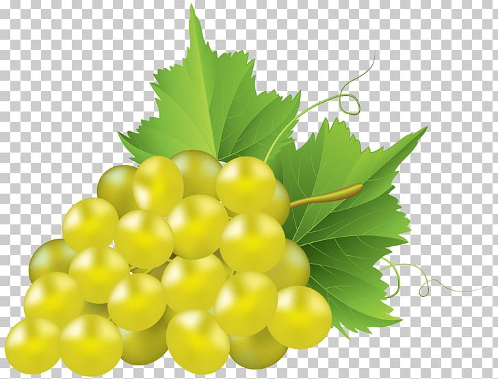 Juice Common Grape Vine Concord Grape PNG, Clipart, Common Grape Vine, Concord Grape, Encapsulated Postscript, Food, Fruit Free PNG Download