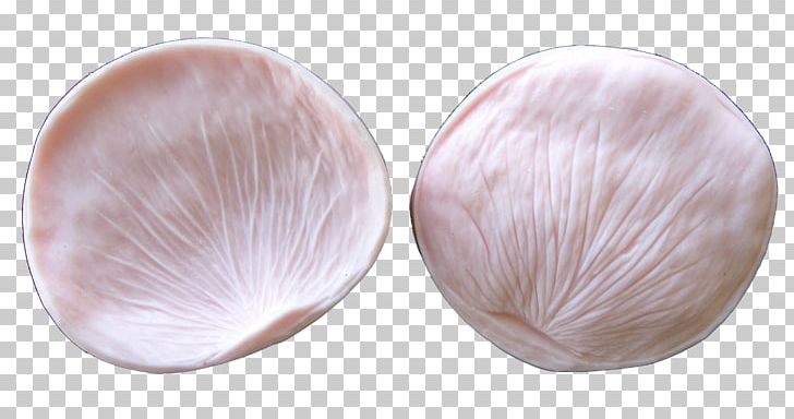 Skin Petal Tableware PNG, Clipart, Dishware, Miscellaneous, Others, Petal, Pink Free PNG Download