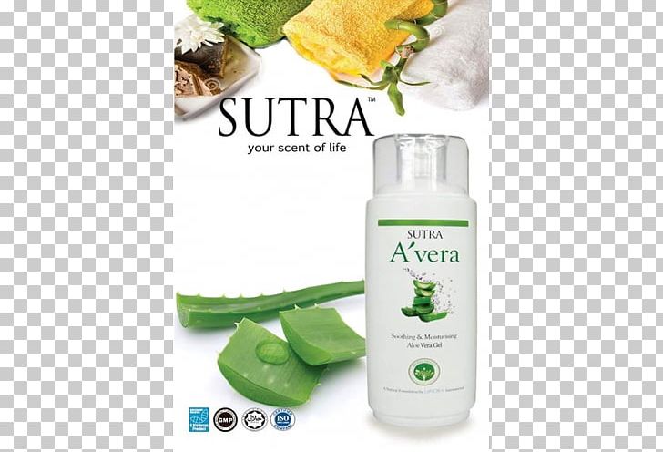 Aloe Vera Moisturizer Skin Eczema Gel PNG, Clipart, Aloe Vera, Avera Mengistu, Chickenpox, Cleanser, Eczema Free PNG Download