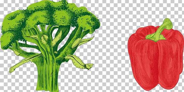 Chili Pepper Bell Pepper Cayenne Pepper Vegetable PNG, Clipart, Capsicum Annuum, Cauliflower, Color, Color Splash, Food Free PNG Download