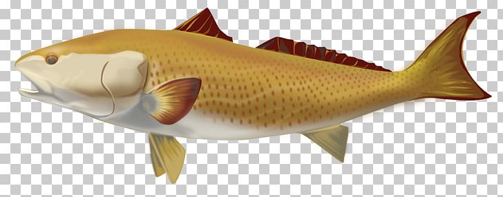 Fish Products 09777 Bony Fishes Seafood PNG, Clipart, 09777, Animal, Animal Figure, Animals, Biology Free PNG Download