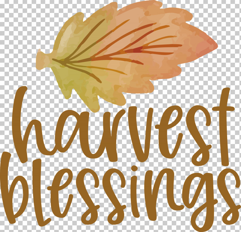 Harvest Autumn Thanksgiving PNG, Clipart, Autumn, Biology, Flower, Fruit, Harvest Free PNG Download
