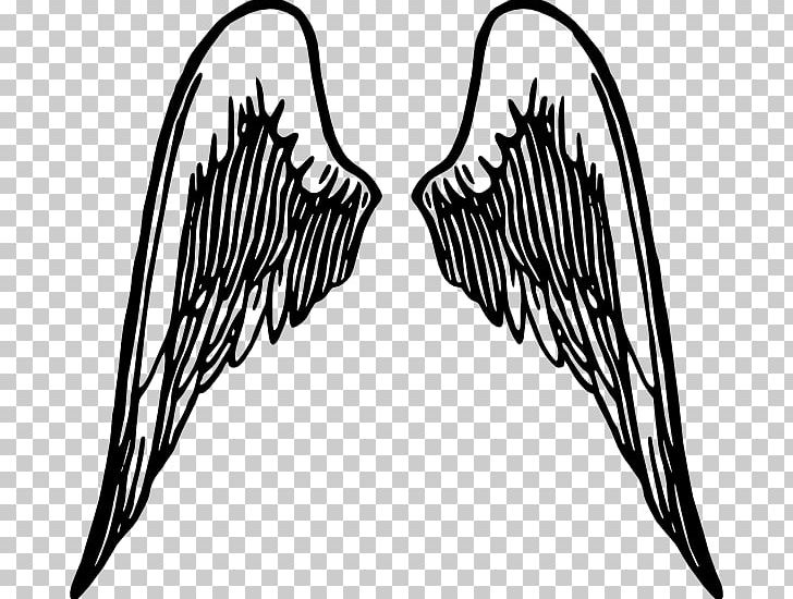 Buffalo Wing Cherub PNG, Clipart, Angel, Beak, Black And White, Buffalo Wing, Cherub Free PNG Download