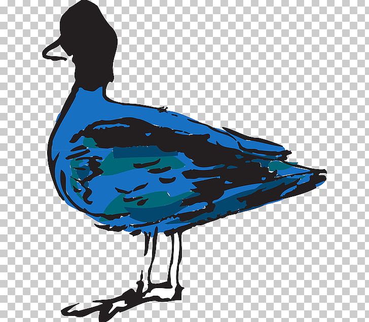 Duck Bird PNG, Clipart, Animals, Art, Azure, Beak, Bird Free PNG Download