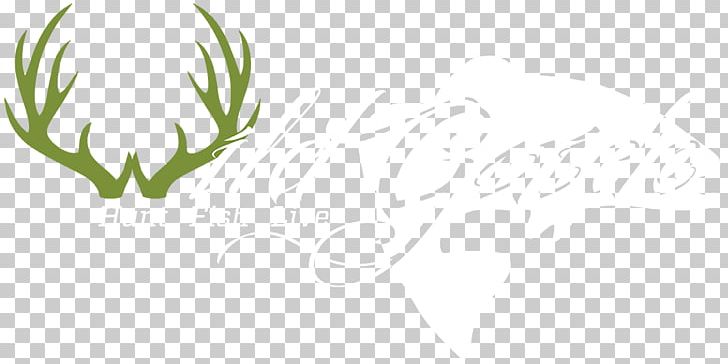 Antler Deer Grasses Logo Duvet PNG, Clipart, Antler, Blanket, Branch, Commodity, Computer Free PNG Download