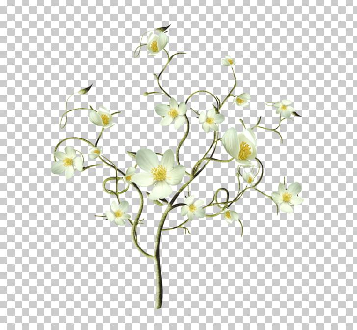 Flower Petal Floral Design PNG, Clipart, Branch, Computer Icons, Cut Flowers, Data, Flora Free PNG Download
