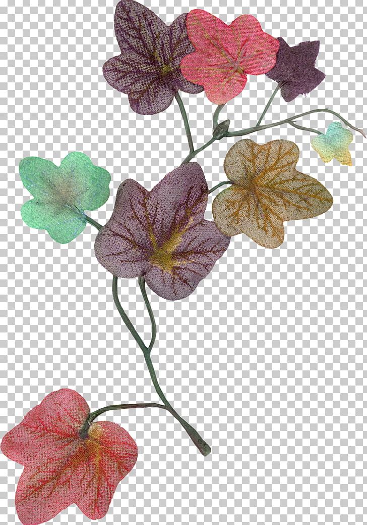 Leaf Flower Portable Network Graphics Petal PNG, Clipart, Branch, Download, Flora, Floral Design, Flower Free PNG Download