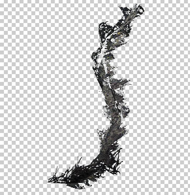 The Elder Scrolls V: Skyrim – Dragonborn Oblivion Wiki Plants Mod PNG, Clipart, Alchemy, Black And White, Branch, Drawing, Ear Free PNG Download