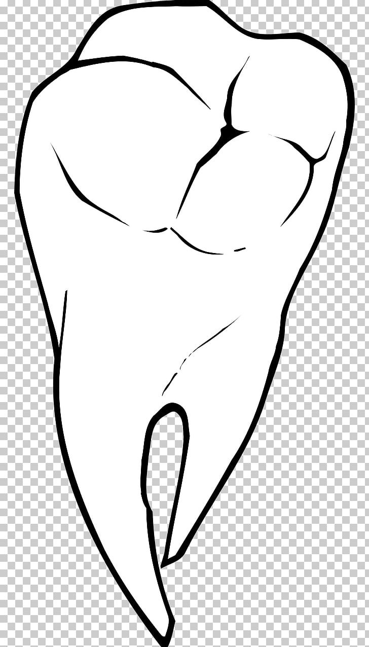 Tooth Dentistry Deciduous Teeth PNG, Clipart, Angle, Arm, Art, Baby Teeth, Black Free PNG Download