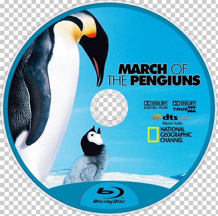 March Of The Penguins Documentary Film Emperor Penguin PNG, Clipart, 720p, Animals, Antarctic, Brand, Compact Disc Free PNG Download